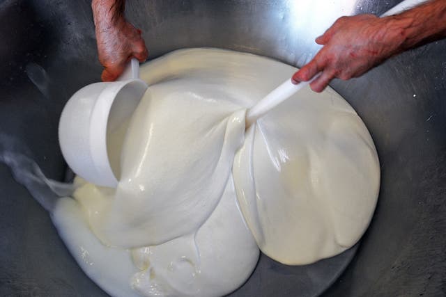 Buffalo mozzarella is prepared at a dairy farm in Italy