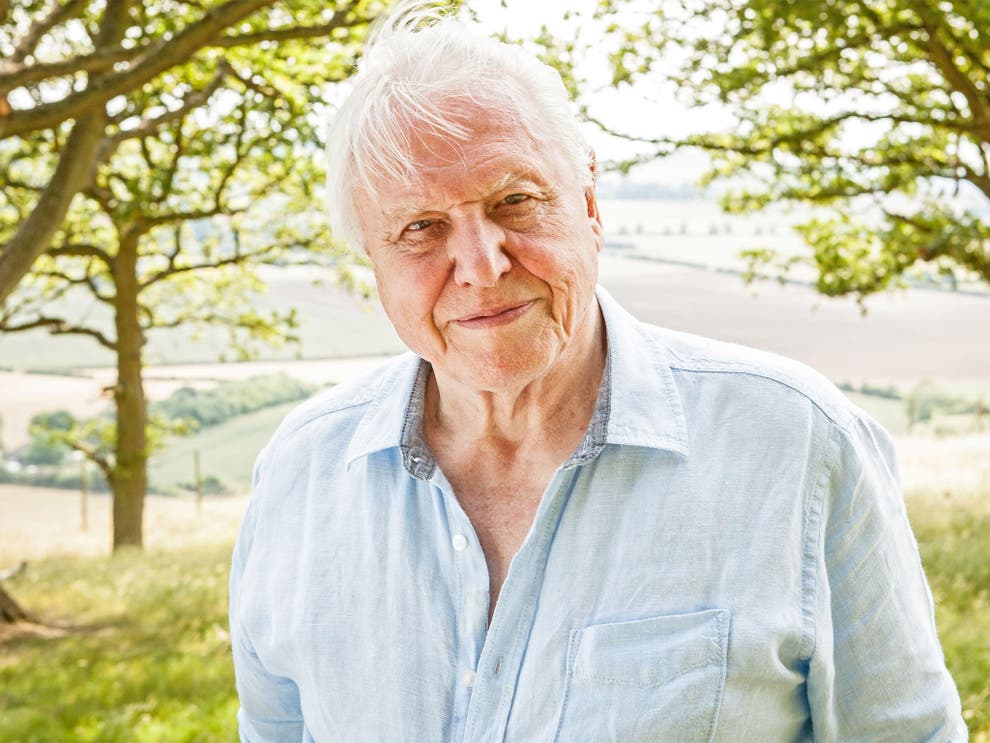 Sir David Attenborough interview: Broadcaster on his new TV show and