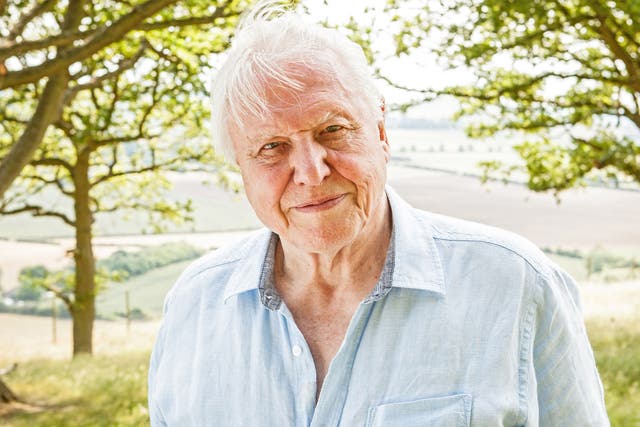 Giant in his field: Sir David’s nature programming  has taken him all over the world