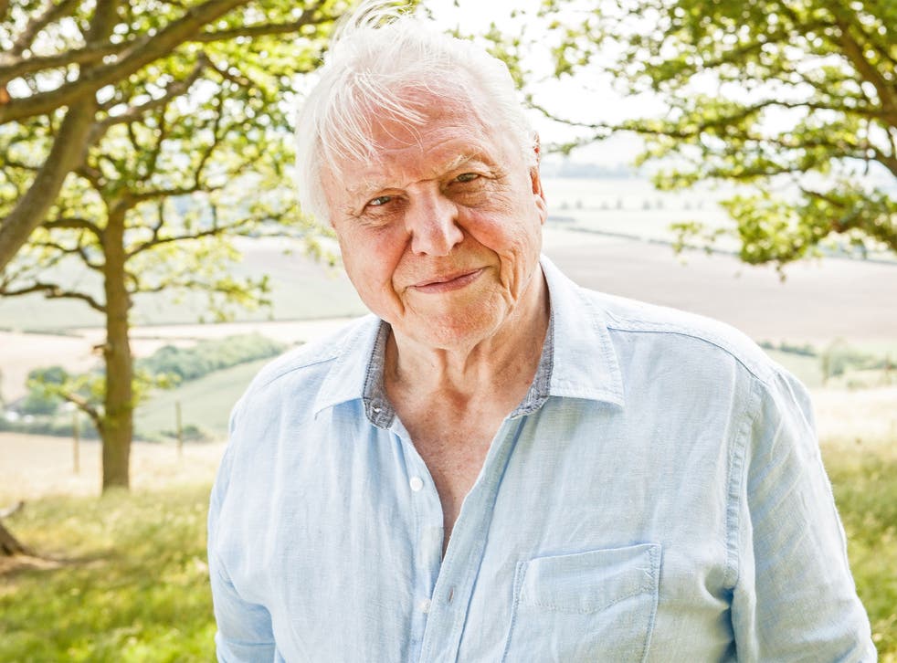 Giant in his field: Sir David’s nature programming  has taken him all over the world