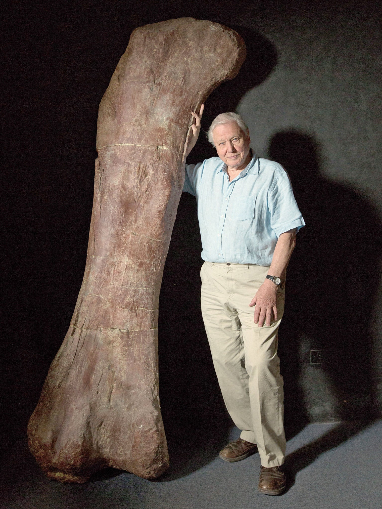 David Attenborough beside a giant thigh bone fossil replica