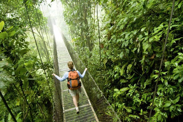 Take a hike: exploring the rainforest in Costa Rica