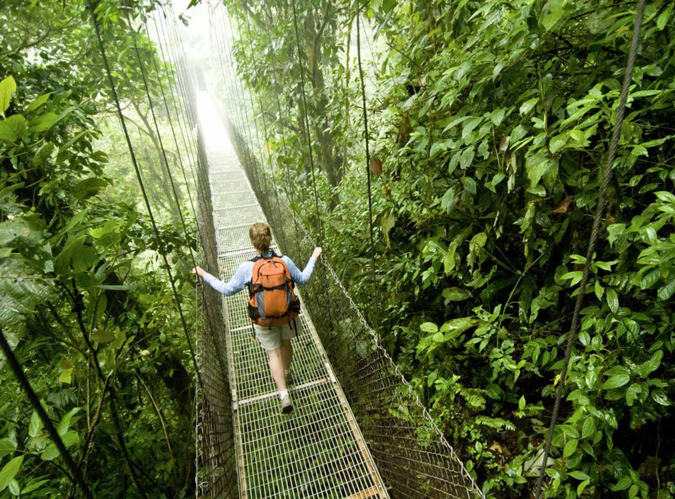 Take a hike: exploring the rainforest in Costa Rica