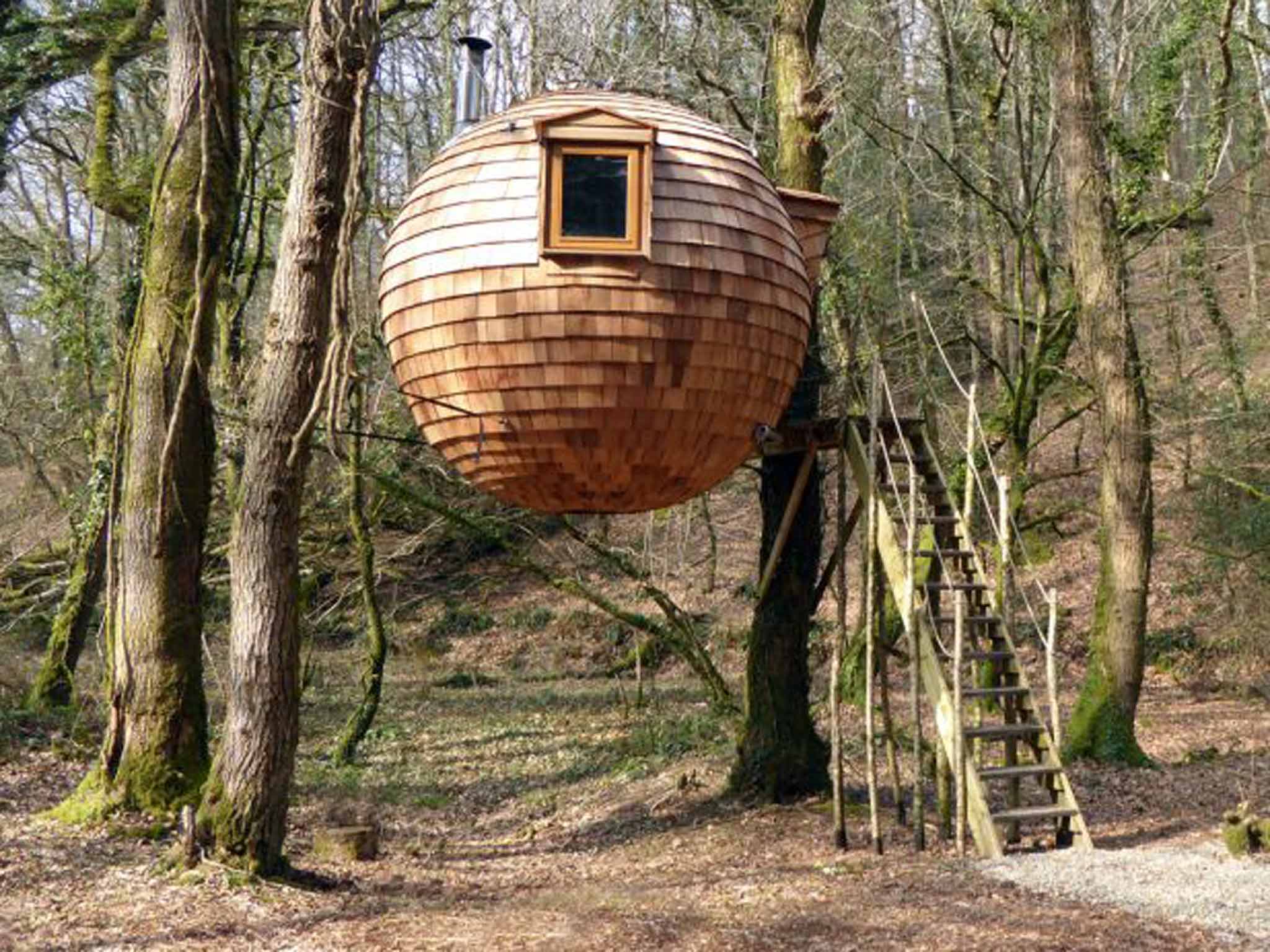 Lost Meadow Treepod, Cornwall