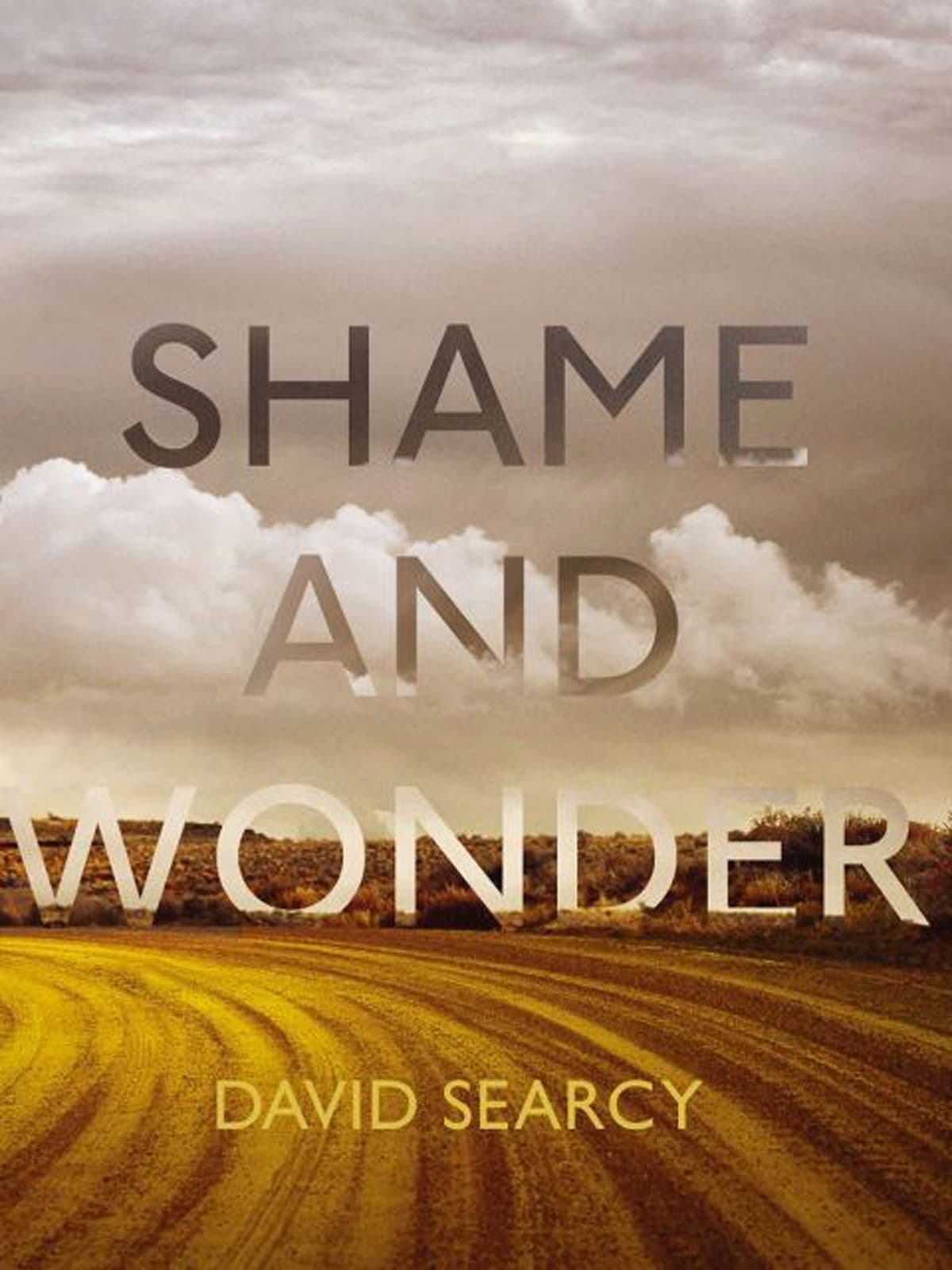 Shame And Wonder By David Searcy Book Review Author Writes With An Urgency That Makes His Essays Matter The Independent The Independent