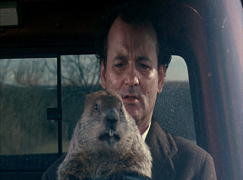 Cinema lets you watch Groundhog Day on Groundhog Day for 24 hours | The