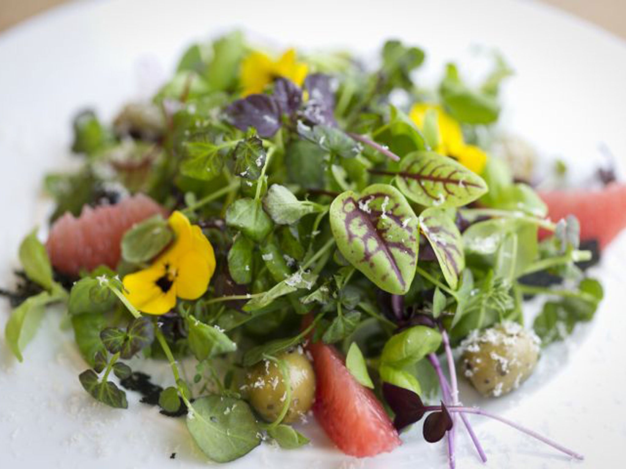 A salad made with some of the company’s 30 types of micro cress (Tom Moggach)