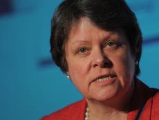 Baroness Brown: Line our motorways with wind turbines, says Government’s adviser on green energy