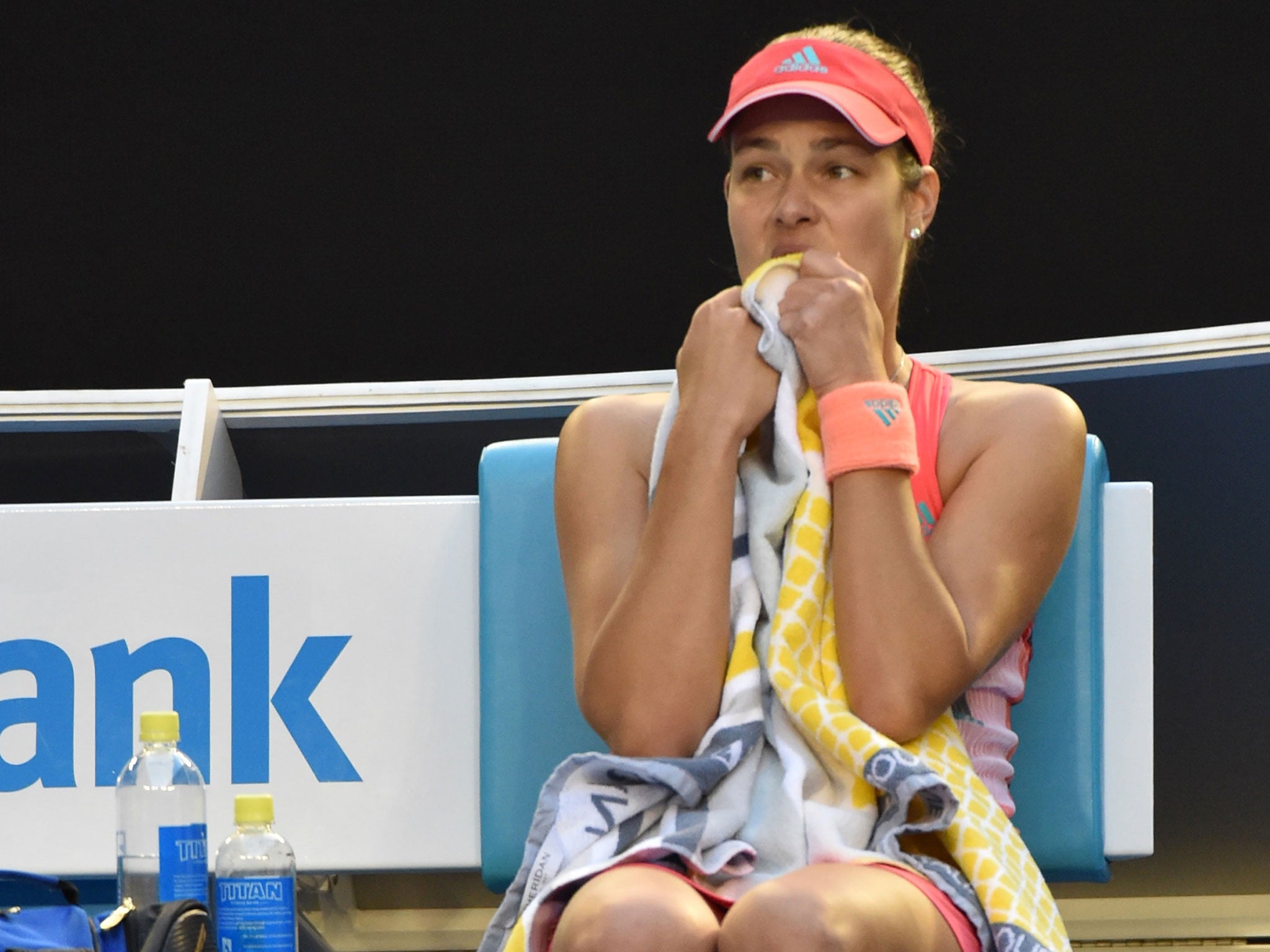 Ivanovic’s future within the sport had come under question in recent years (Getty)