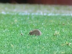 Old Trafford pitch invaded by a mouse as Man Utd struggle