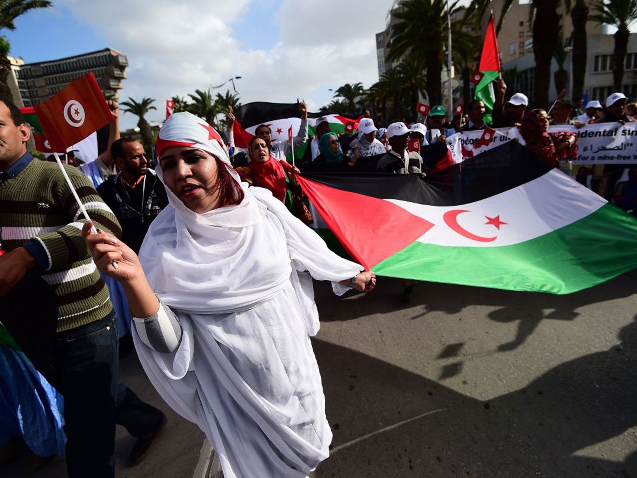 Activists for the independence of the Western Sahara wave flags and banners during a protest