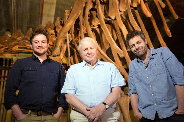 Ben Garrod, Sir David Attenborough and Dr Diego Pol with an amazing discovery