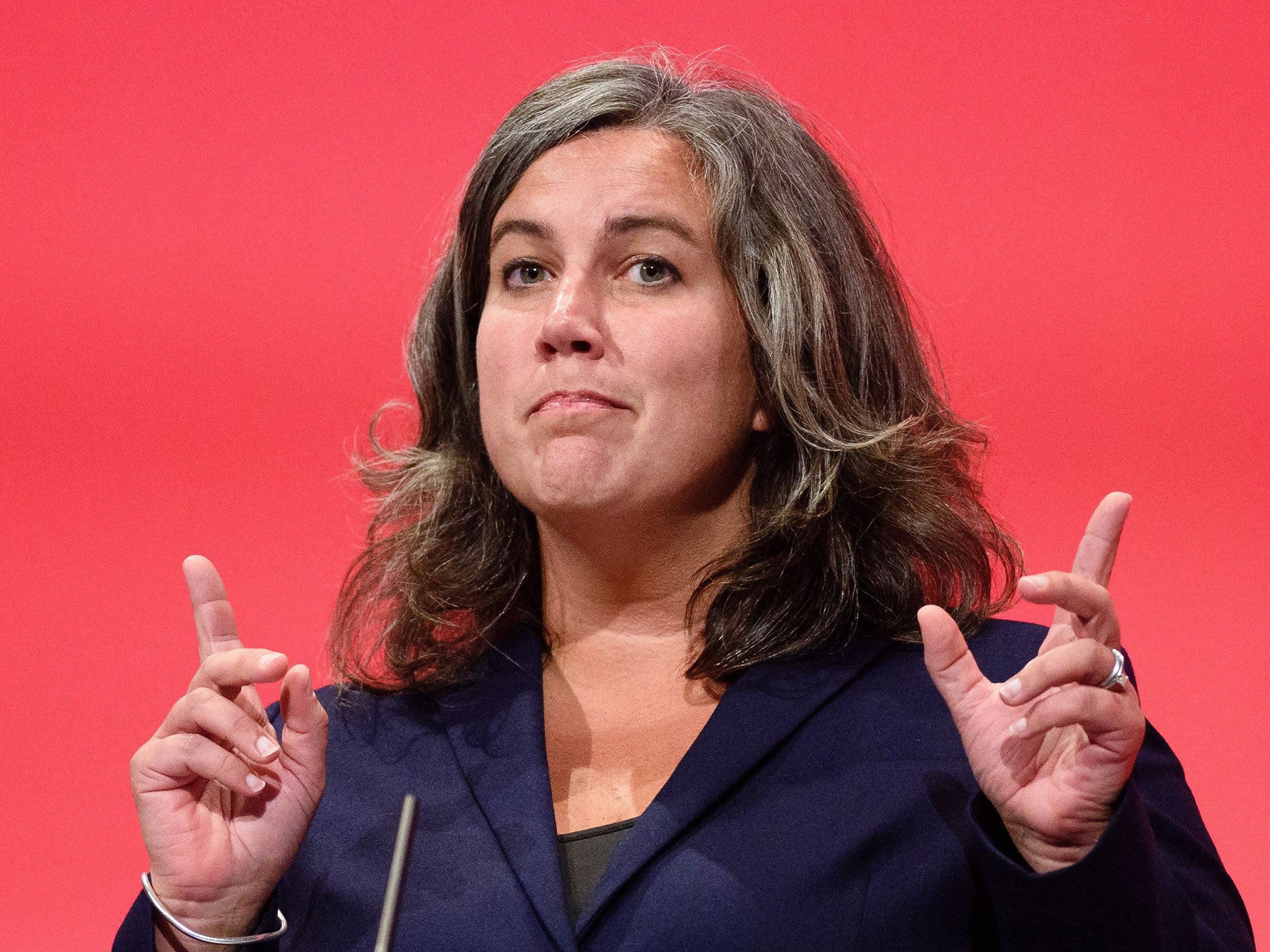 Shadow Health Secretary Heidi Alexander has called for ministers to investigate GE Healthcare’s tax practices