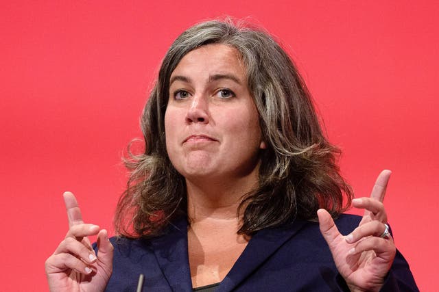 Shadow Health Secretary Heidi Alexander has called for ministers to investigate GE Healthcare’s tax practices
