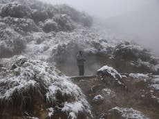 Scores dead as freezing 'polar vortex' sweeps across eastern Asia