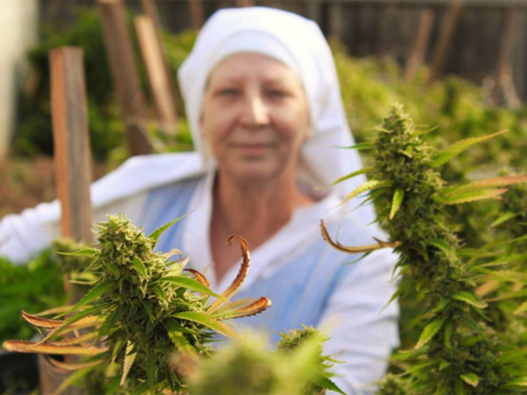 The nuns have been campaigning for the use of cannabis to be legalized in California