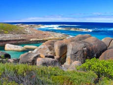 Western Australia's wildlife: A marine hotspot that appeared out of the blue