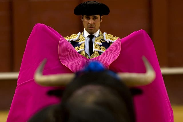 Spanish matador Francisco Rivera Ordonez looks at a bull during a bullfight at the Malagueta Bullring in Malaga