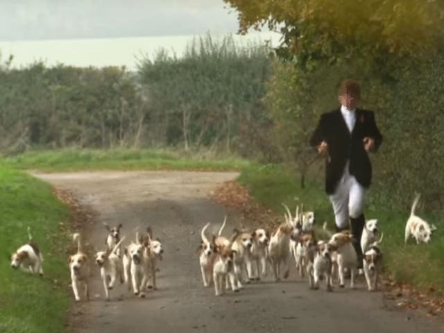 A still from the footage claiming to show Eton College's beagling club hunting in North Yorkshire