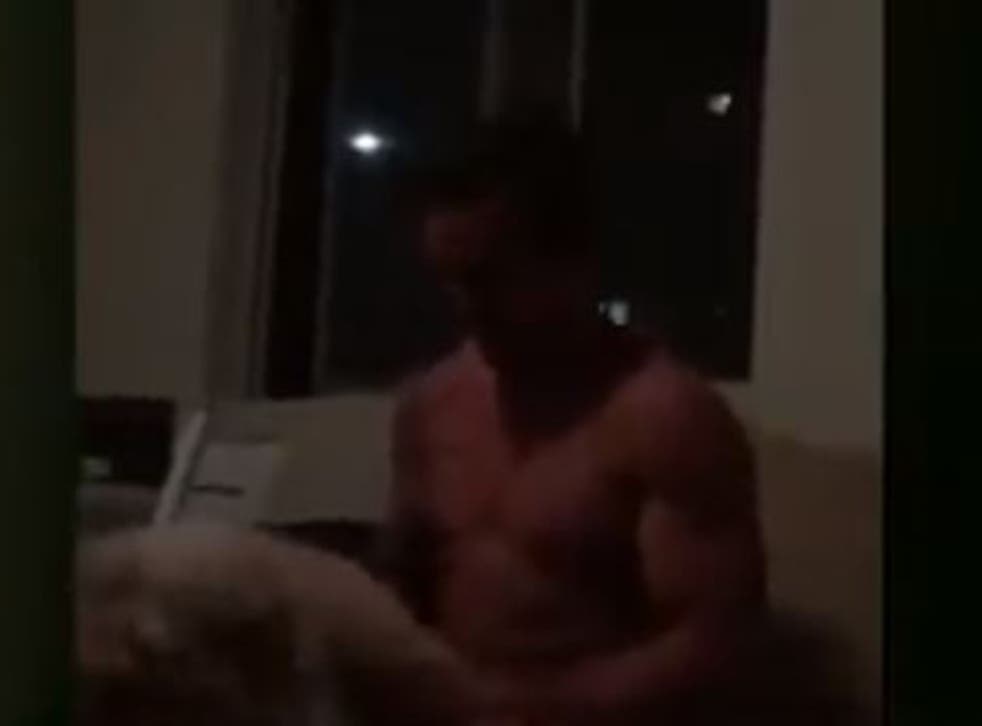 Mitchell Pearce Video Sydney Roosters Star Accused Of Simulating Lewd Sex Act With A Dog The Independent The Independent [ 726 x 982 Pixel ]