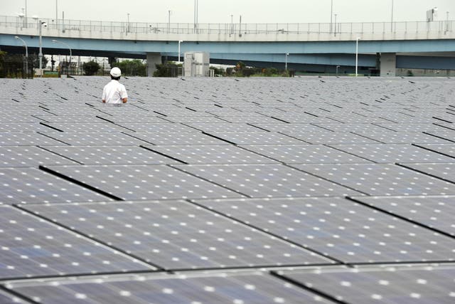 A man walks around a field of solar cells at a power plant in Kanagawa Prefecture