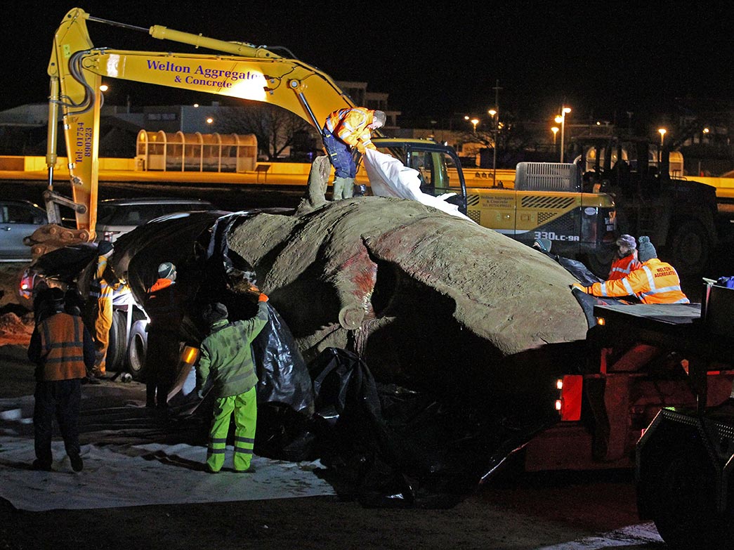 &#13;
Workmen cover the second of three dead sperm whales on a beach near Skegness in January 2016&#13;