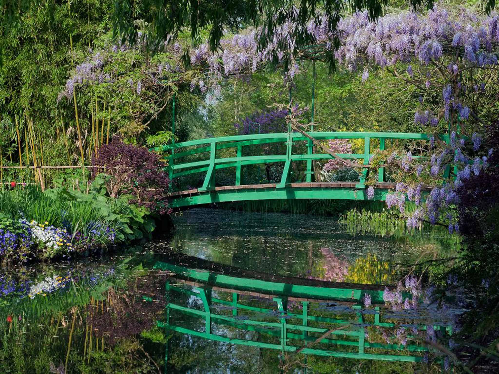 &#13;
Monet's garden&#13;