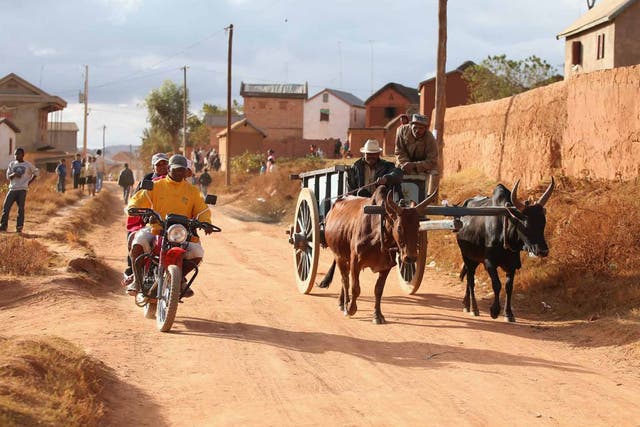 Madagascar: 30-day tourist visa