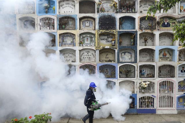 Fumigating a graveyard: ‘Aedes aegypti’ can replicate in flower vases and other tiny sources of water and are hard to eradicate