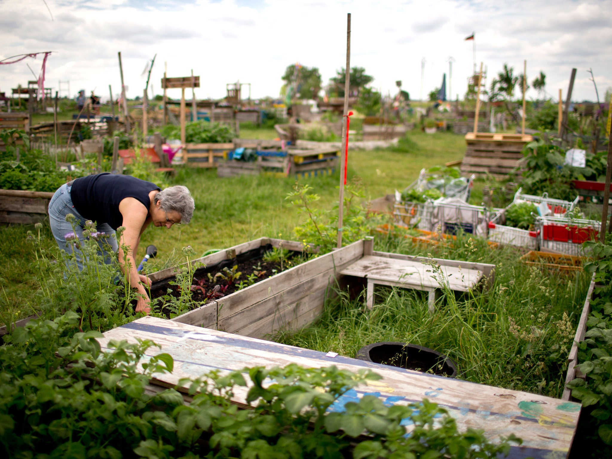 Tempelhof’s vast acreage is now given over to walkers, cyclists, and nature