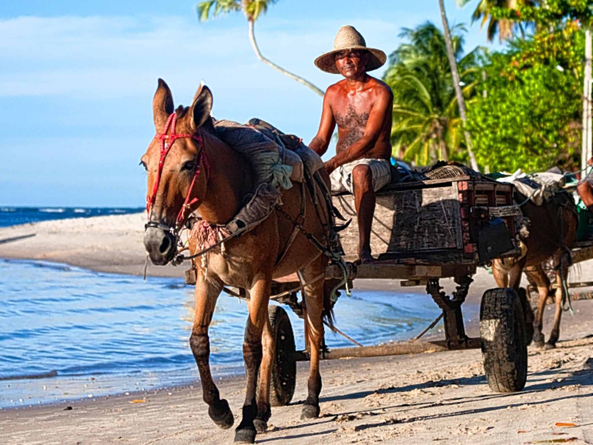 The local transport on Boipeba