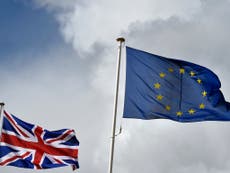 David Davis 'in cloud cuckoo land', says man who negotiated EU debate