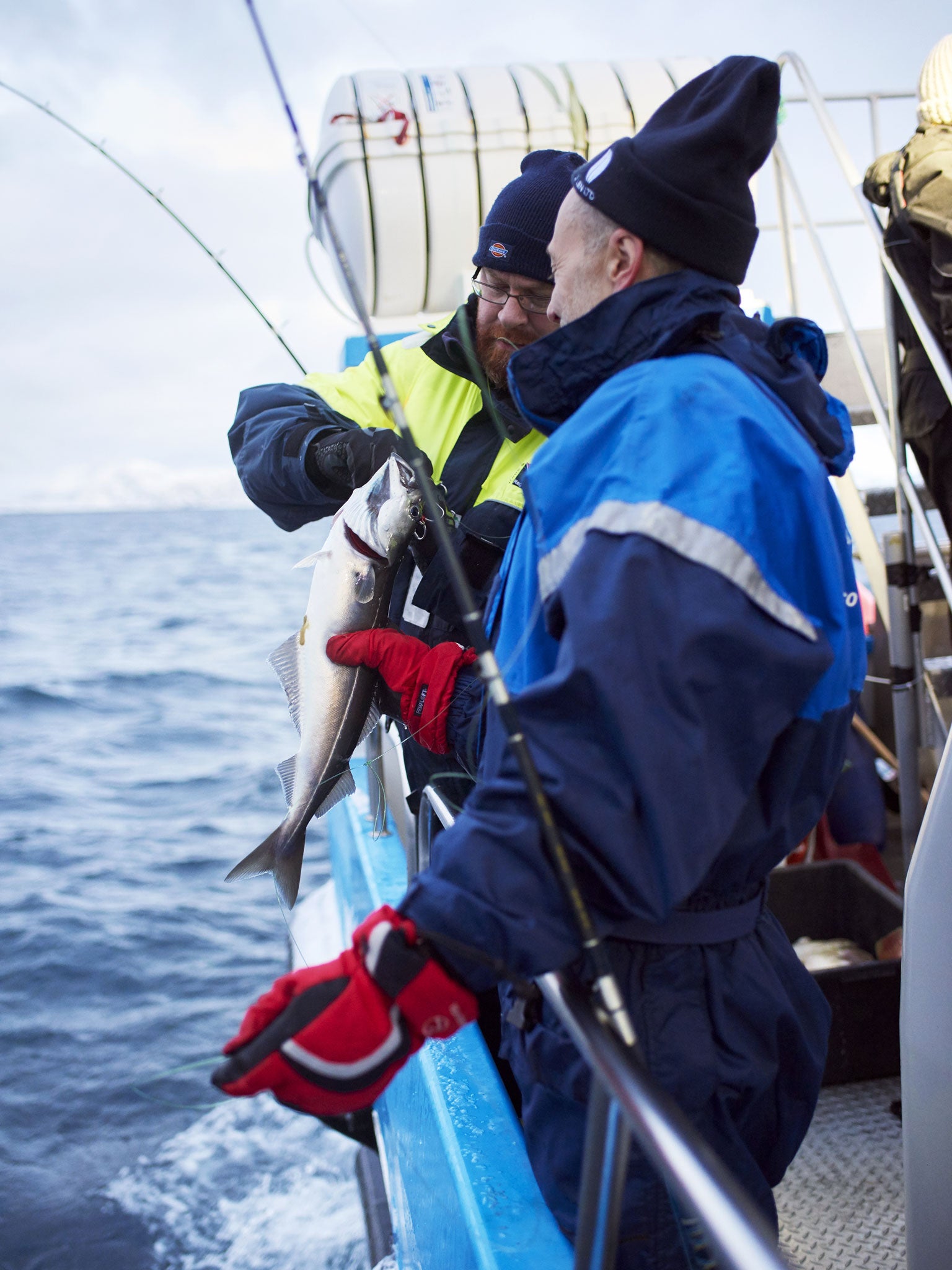 Roux and Simon Hulstone reel in a cod