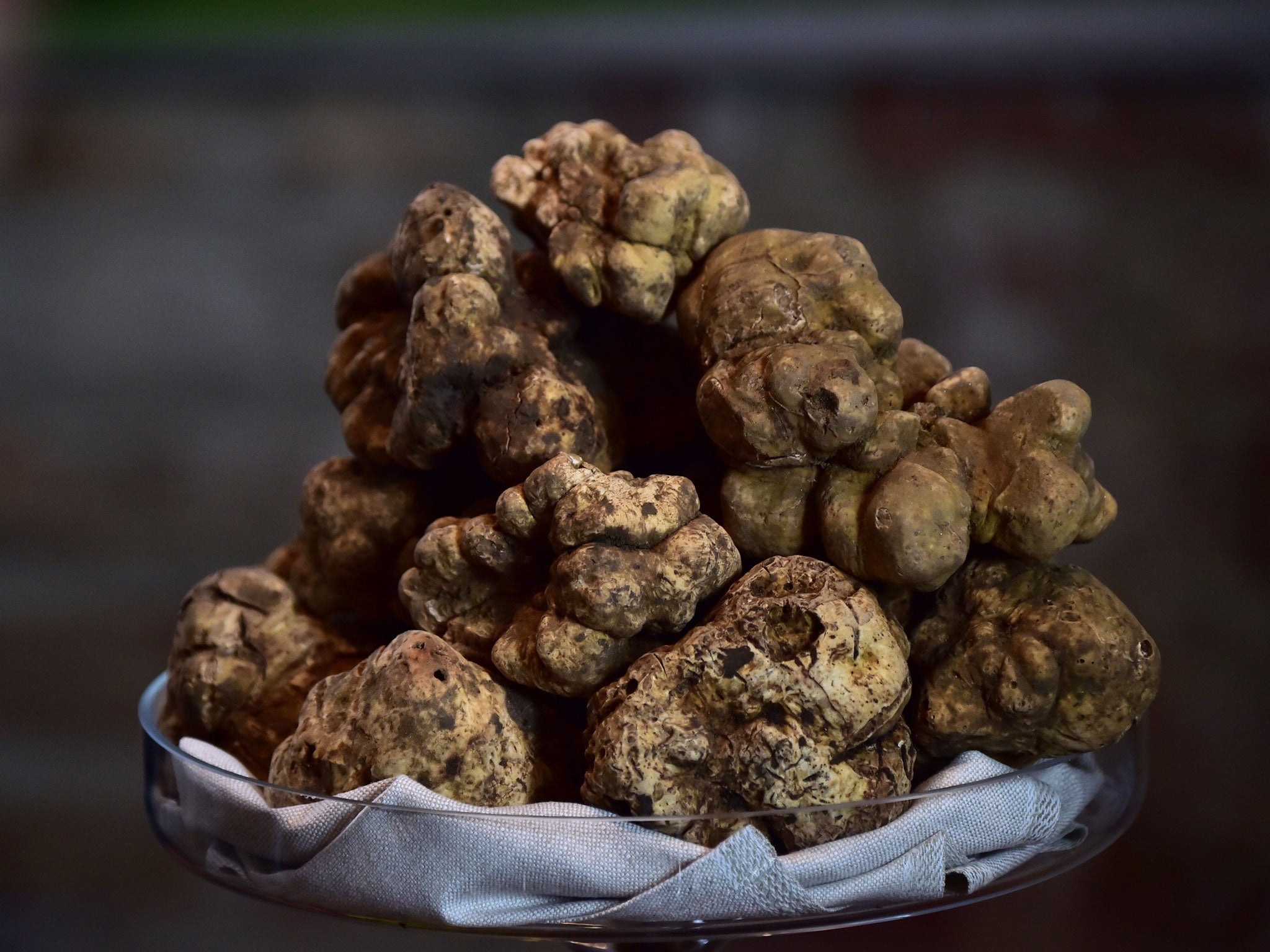 Alba truffles fetch prices of €3,500 a kilo