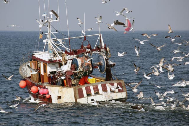 A number of different methods to avoid seabird bycatch have been used before, but not all fisheries require the measures to be taken