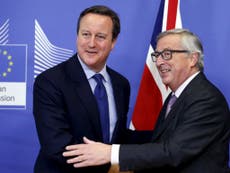 Tory rebels look for backing to delay EU referendum