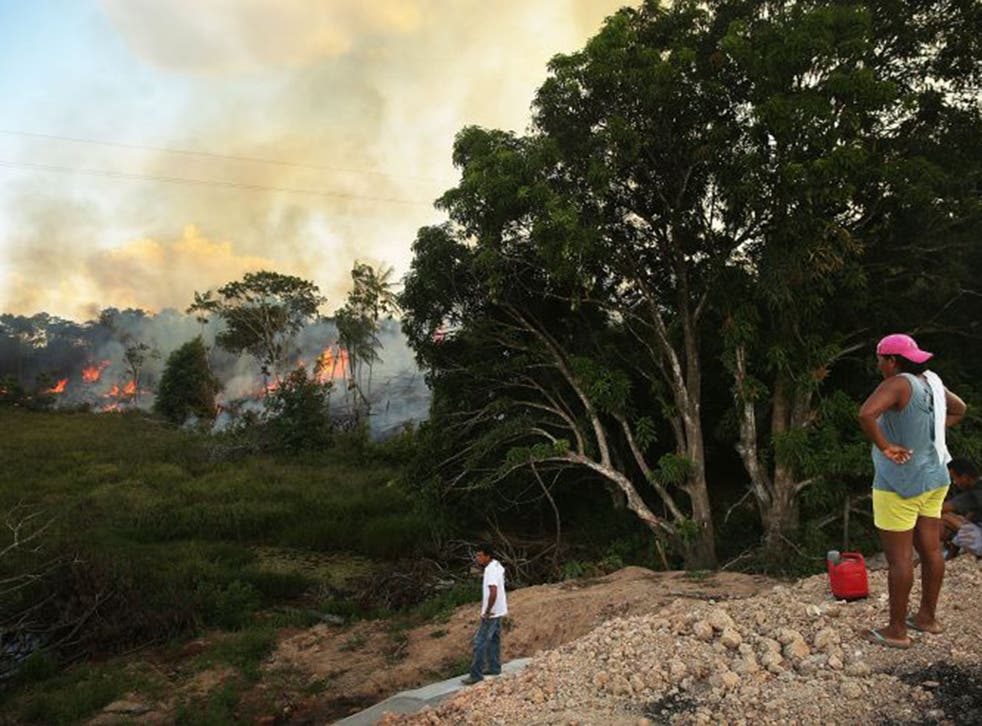 A fire burns vegetation in Ze Doca in Brazil’s Amazon basin