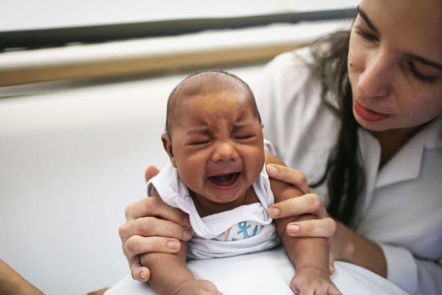 Dr. Valeria Barros treats a 6-week old baby born with microcephaly at the Lessa de Andrade polyclinic during a physical therapy session on January 29, 2016 in Recife, Pernambuco state, Brazil.
