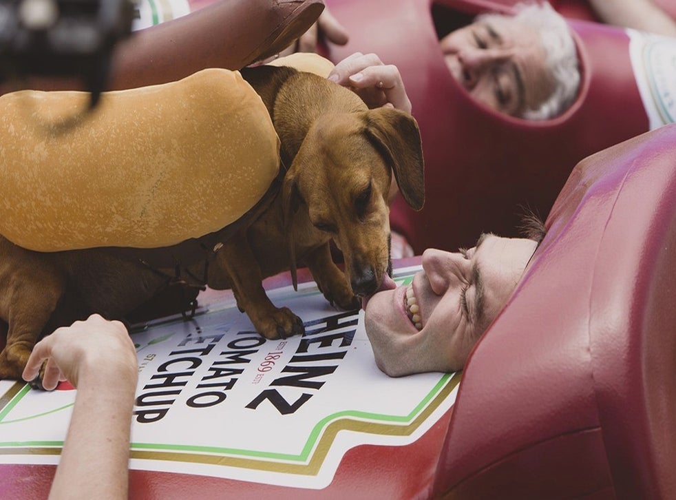 2016 Super Bowl commercials Heinz’ stampede of sausage dogs emerges as