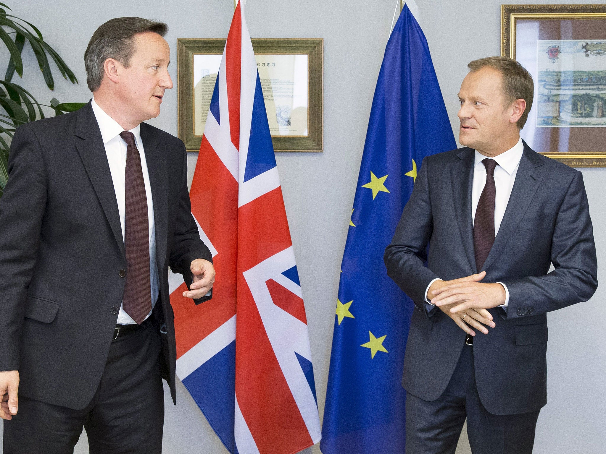 David Cameron and the president of the European Council Donald Tusk talk during an EU negotiation earlier this year