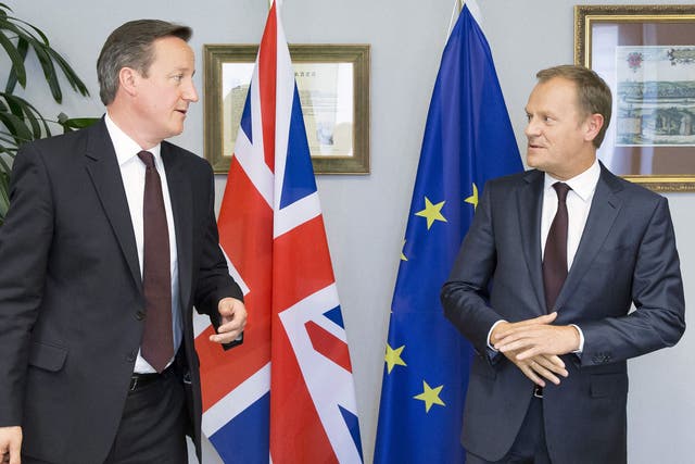 David Cameron and the president of the European Council Donald Tusk talk during an EU negotiation earlier this year