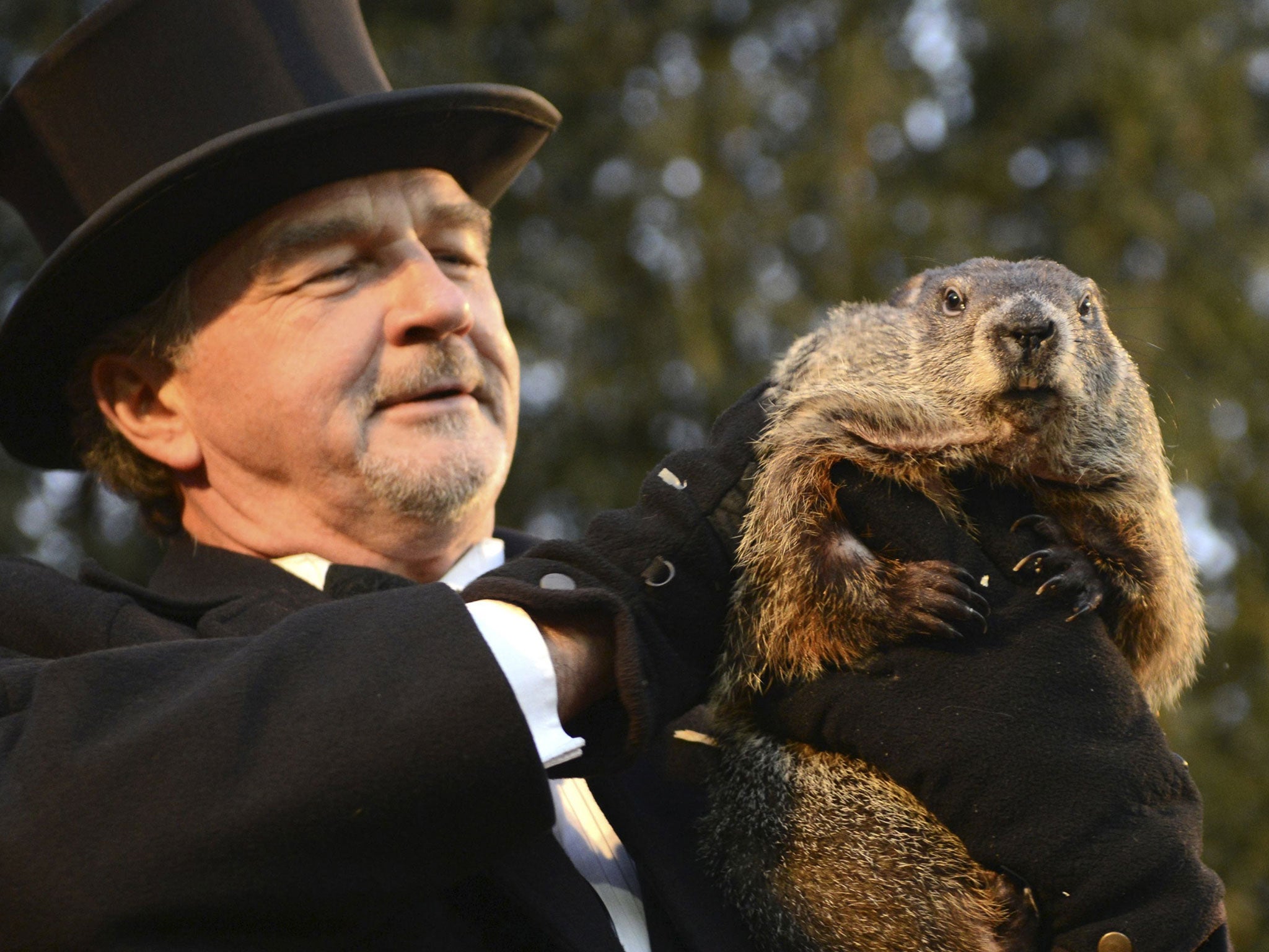 Groundhog co-handler John Griffiths holds up groundhog Punxsutawney Phil after Phil's annual weather prediction on Gobbler's Knob on the 130th Groundhog Day in Punxsutawney, Pennsylvania February 2, 2016