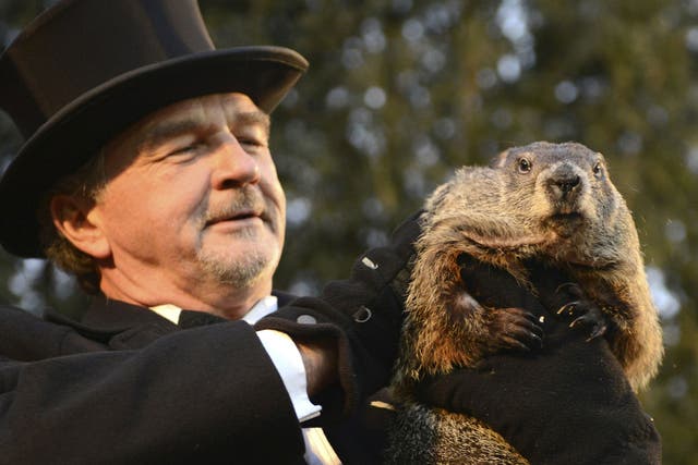 Groundhog co-handler John Griffiths holds up groundhog Punxsutawney Phil after Phil's annual weather prediction on Gobbler's Knob on the 130th Groundhog Day in Punxsutawney, Pennsylvania February 2, 2016