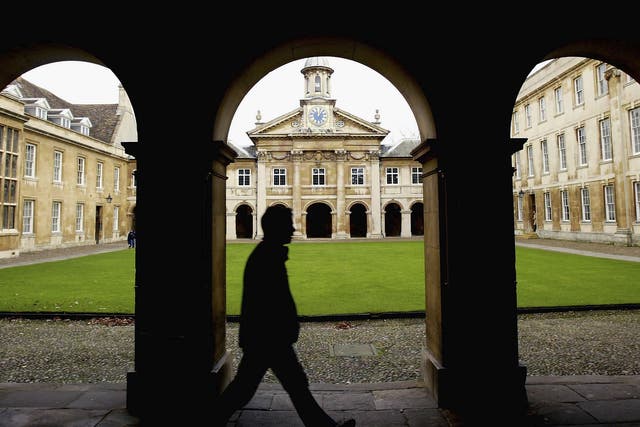 Institutions like Cambridge, pictured, have 'a particular challenge' ahead of them, says the Minister for Universities 