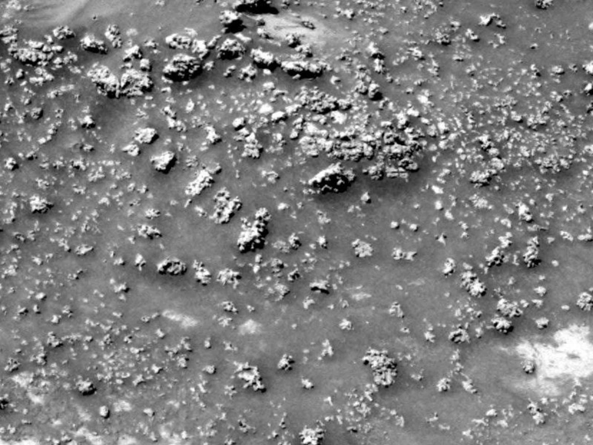An image taken by the Nasa Spirit rover, which shows the silica protrusions on the surface of Mars