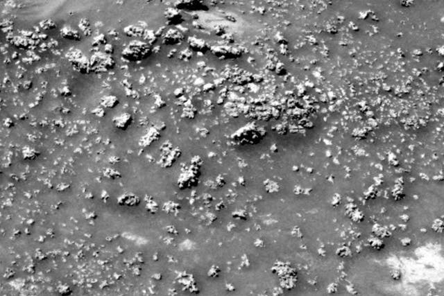 An image taken by the Nasa Spirit rover, which shows the silica protrusions on the surface of Mars