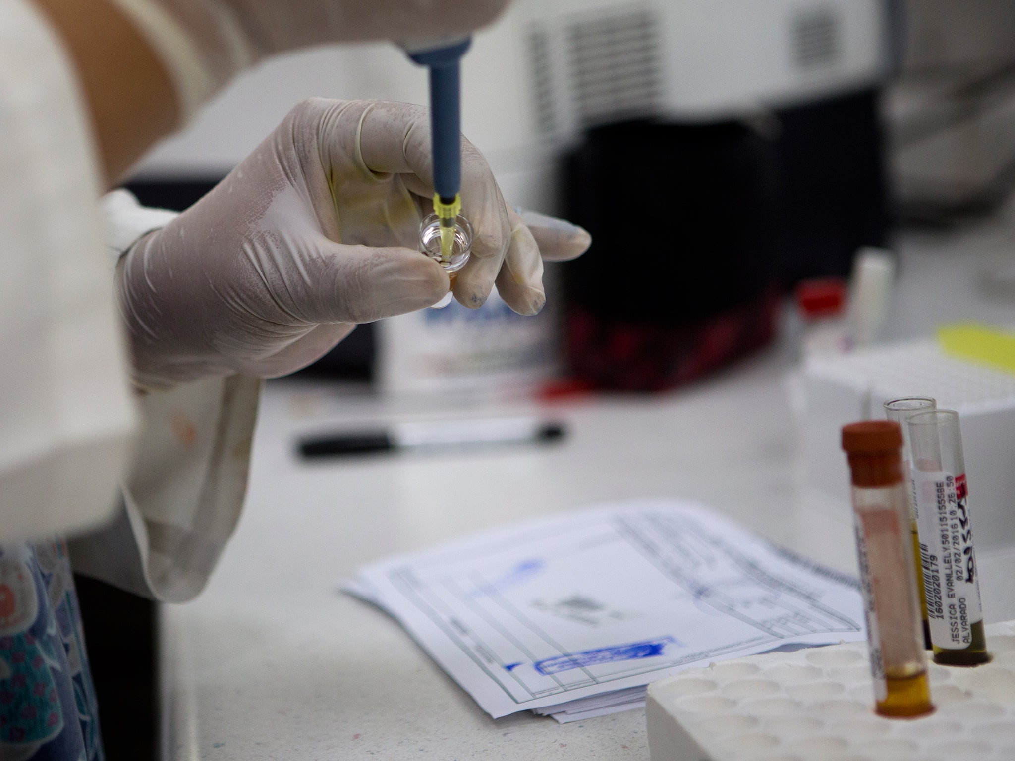 A blood sample is taken from a suspected Zika virus victim, during last year's outbreak