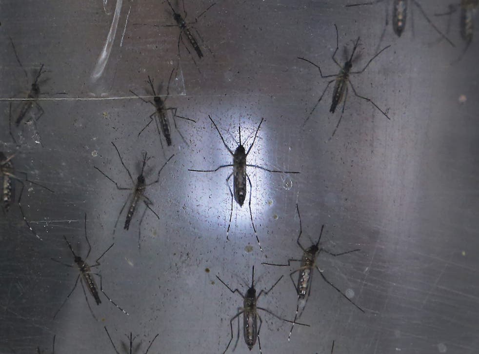 Florida's Governor has declared a state of emergency in four counties with the Zika virus.