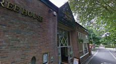Rat ruins Wetherspoon pub meal by 'running up man's leg and stealing a chip'