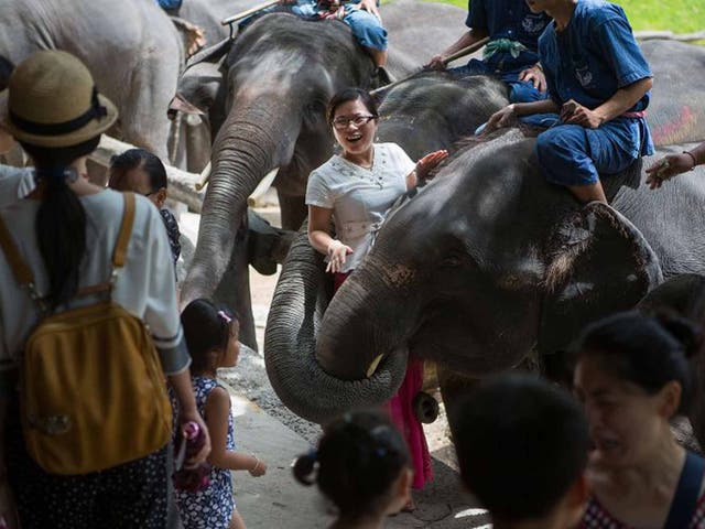 The ethics of elephant-back treks